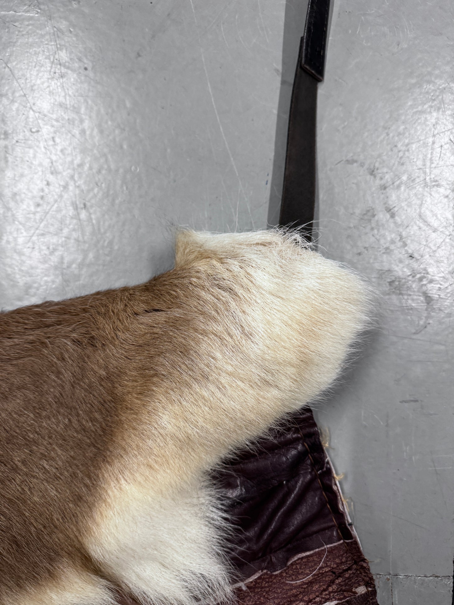 Joey D Fur + Leather Bag