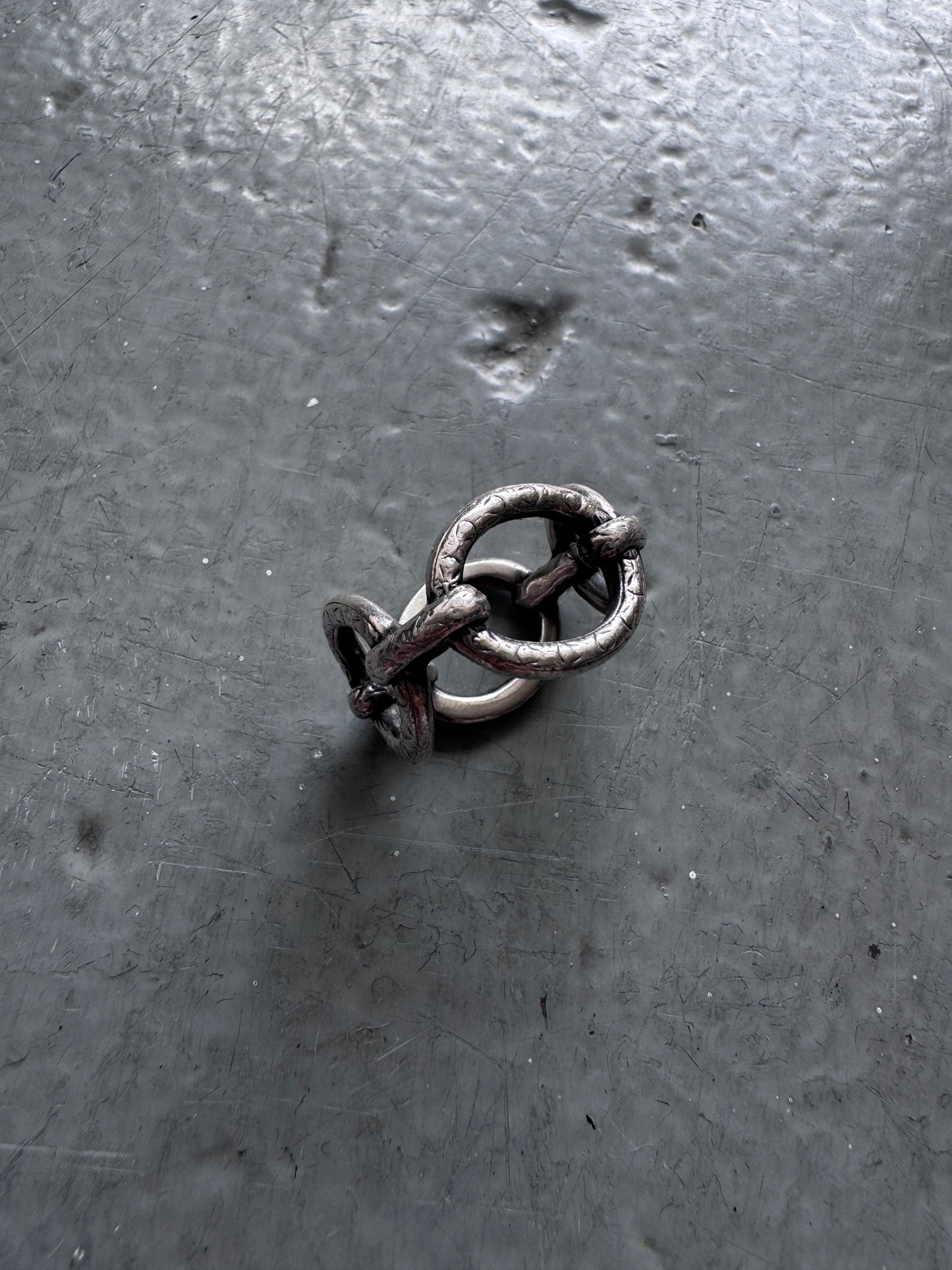 werkstatt munchen chain ring