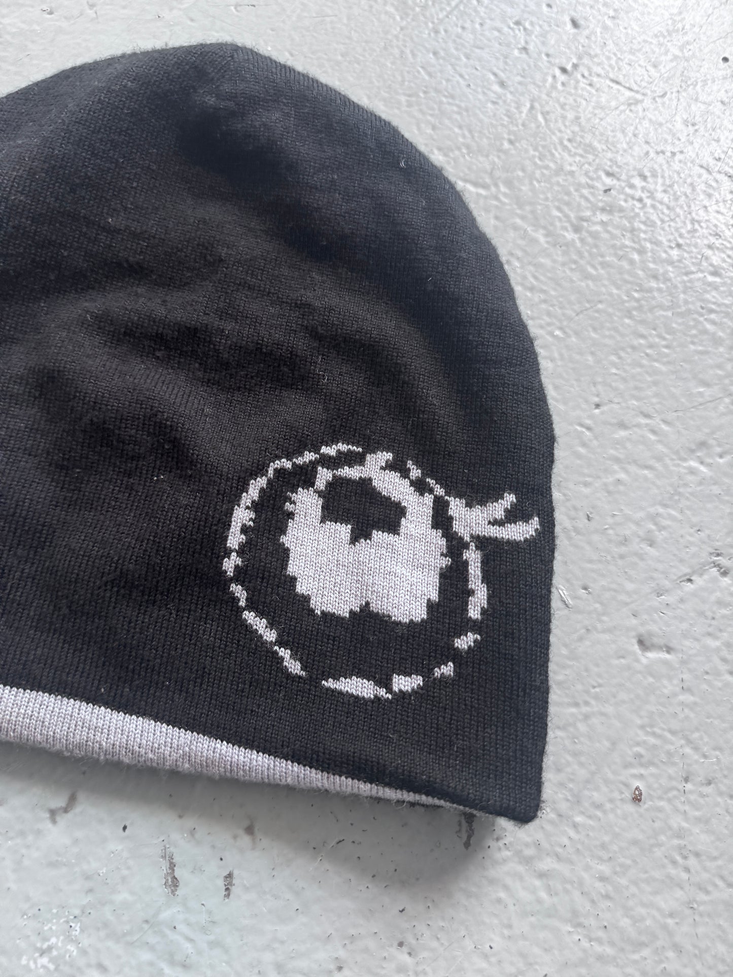 venicew reversible beanie