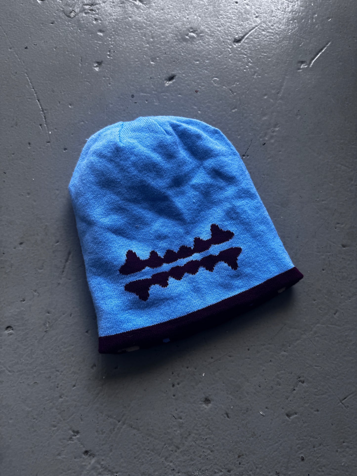 Eirocori reversible beanie