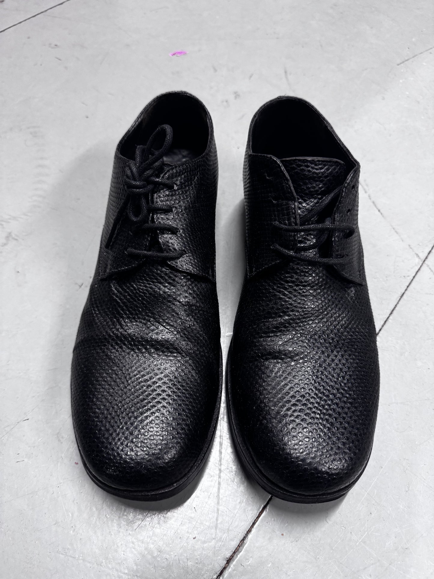 Carpe Diem Snake Print Leather Derby