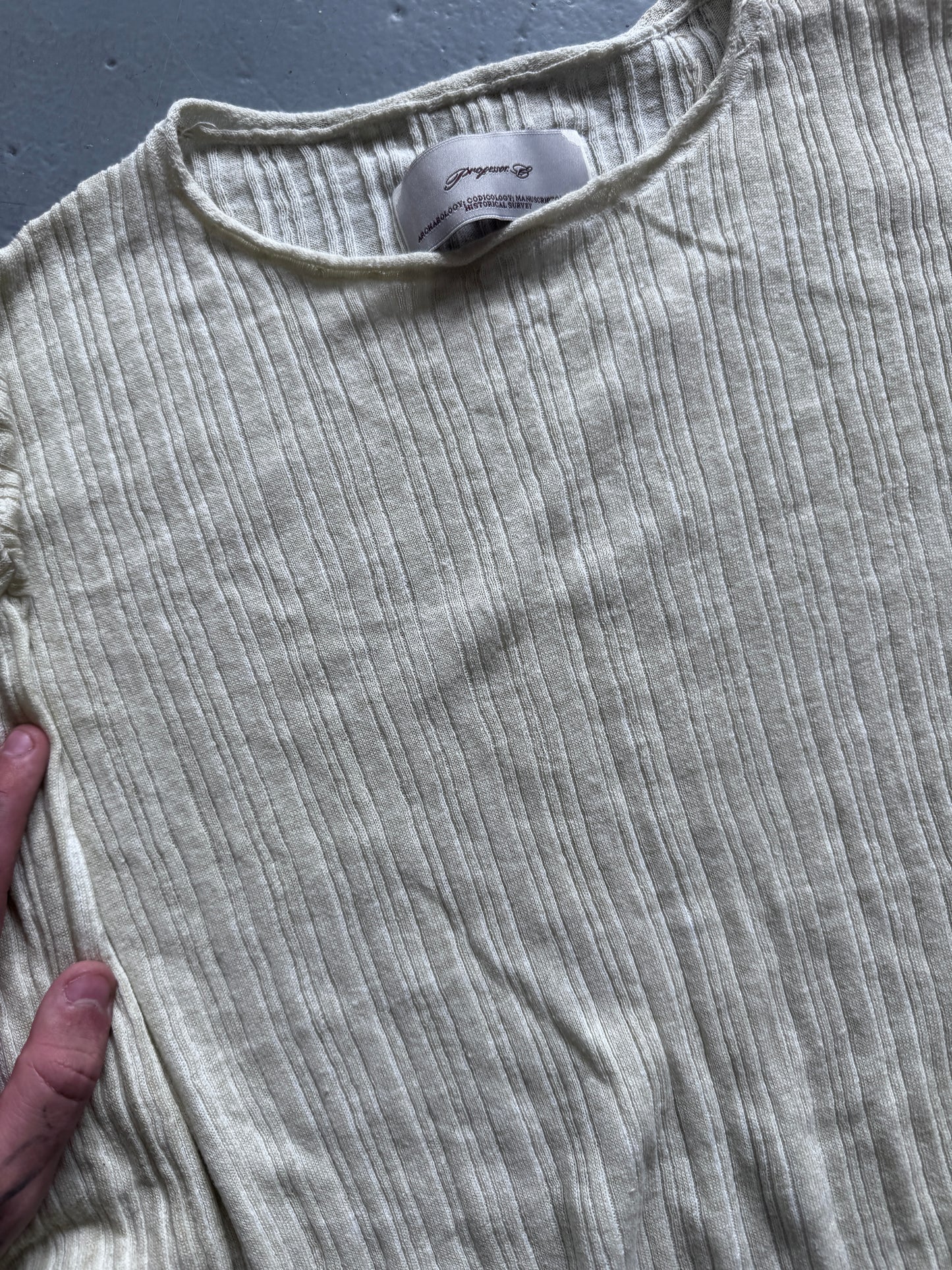 professor e treated knit lightweight sweater