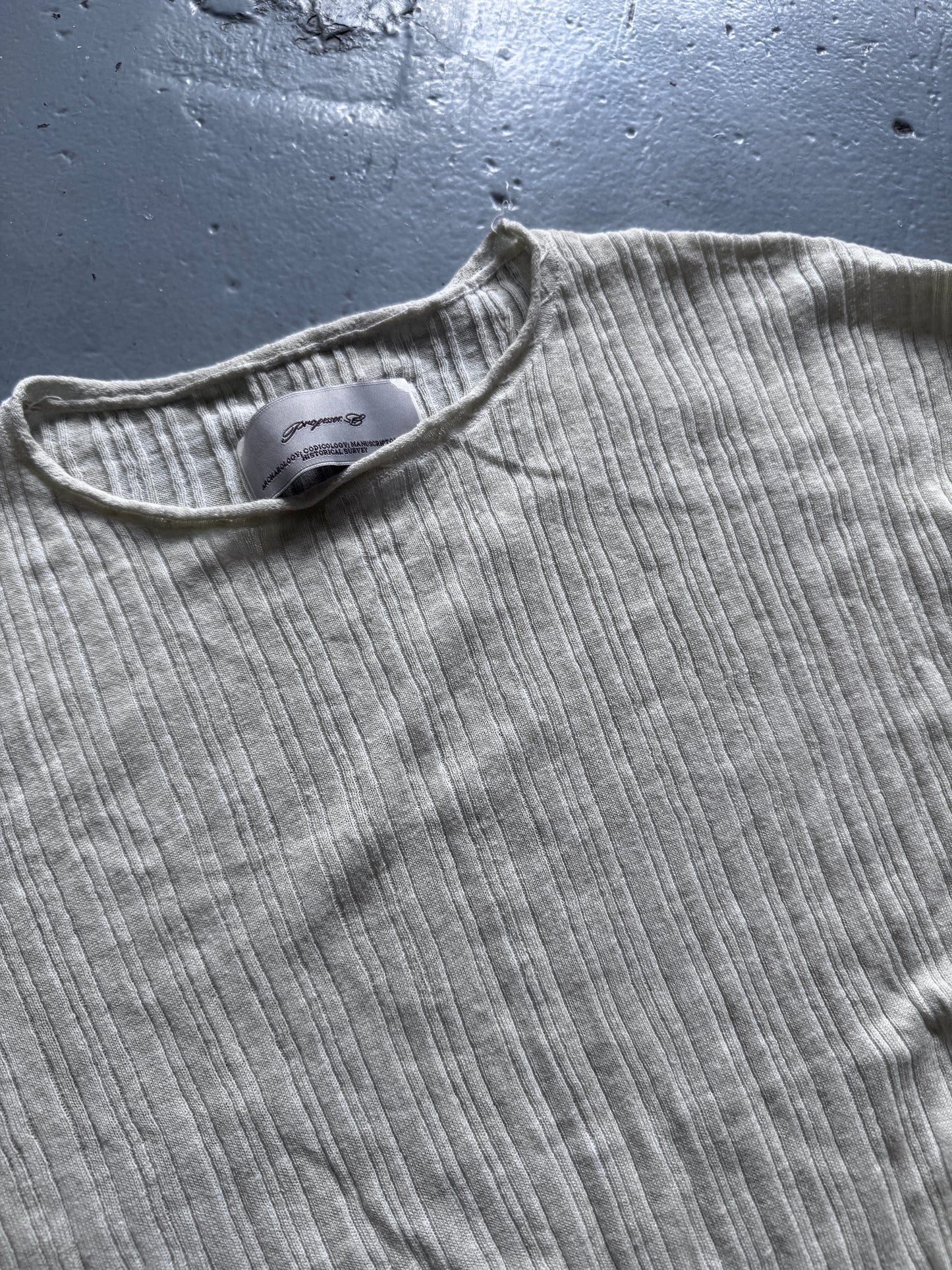 professor e treated knit lightweight sweater